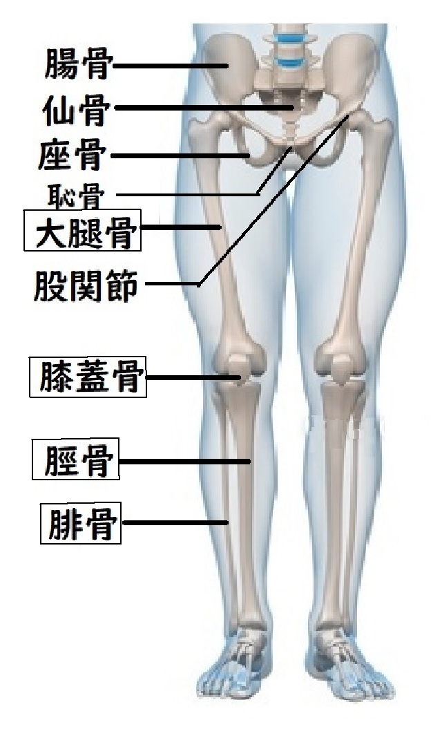 骨格 田盛健康医学センター