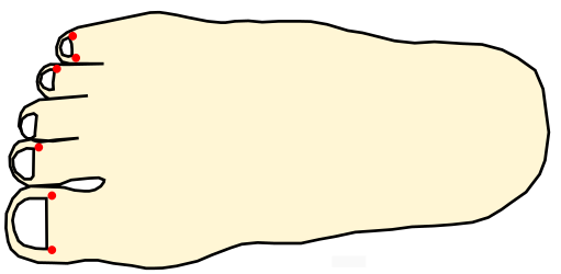 井穴