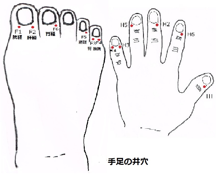 井穴