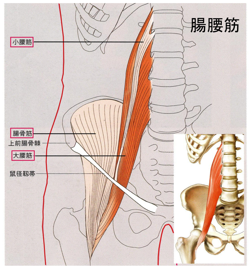 骨盤後傾